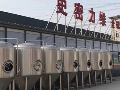 索县精酿啤酒设备厂—如何判断精酿啤酒设备的密封件需要更换？